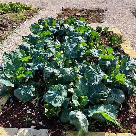 Ada-trulli Puglia 3* Martina Franca