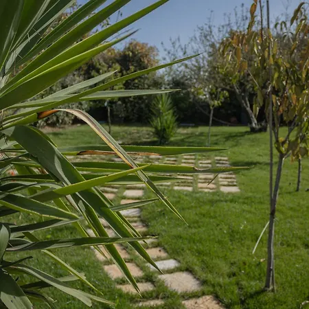 Ada-trulli Puglia *